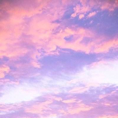 任你博下载手机版