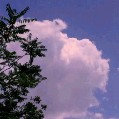 8188www威尼斯手机app下载